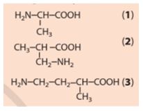 Giải Hóa 12 trang 43 Cánh diều