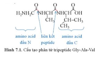 Giải Hóa 12 trang 47 Cánh diều