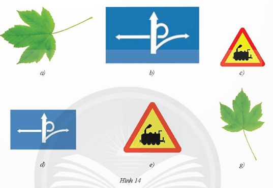 Bài 1 trang 82 Toán 8 Tập 2 Chân trời sáng tạo | Giải Toán 8