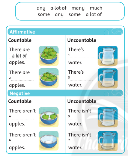 Sách bài tập Tiếng Anh lớp 6 unit 5 Language focus 1 Friends plus