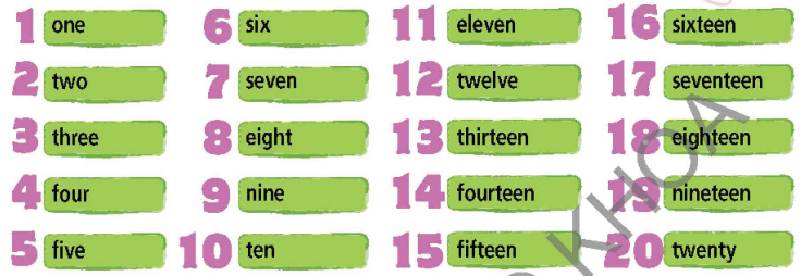 Tiếng Anh 6 Right On Hello! trang 14 15