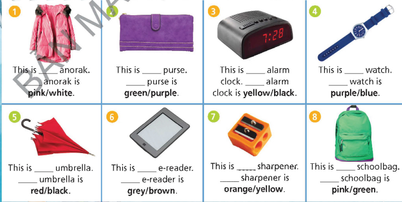 Tiếng Anh 6 Right On Hello! trang 14 15