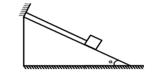 Trọng lực và lực căng 