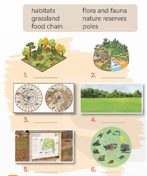 Tiếng Anh 9 Global Success Unit 10 A Closer Look 1