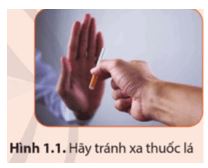 Giải Vật lí 12 Cánh diều bài 1