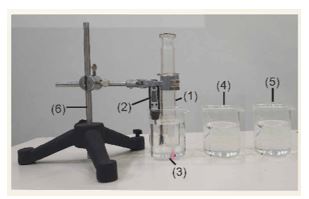 Giải Vật lí 12 trang 40 Cánh diều