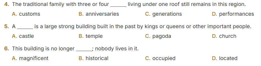 Sách bài tập Tiếng Anh 9 Global Success Unit 4 Vocabulary & Grammar