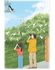 Vở bài tập Toán lớp 5 Chân trời sáng tạo Bài 2: Ôn tập phân số