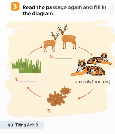 Tiếng Anh 9 Global Success Unit 10 Skills 1