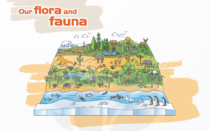 Unit 10 lớp 9 Project