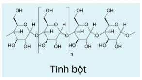 Đề thi giữa học kì 1 lớp 12 môn Hóa Kết nối tri thức