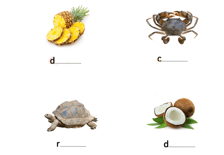 Đề thi Giữa kì 1 Tiếng Việt lớp 1 Chân trời sáng tạo