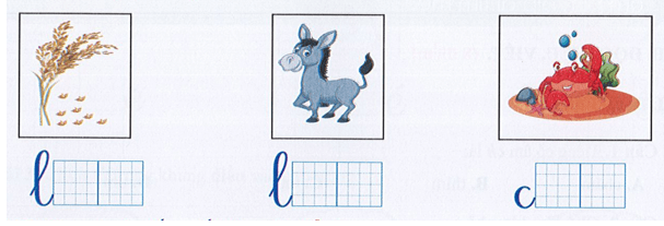 Đề thi Tiếng Việt lớp 1 Giữa kì 1 năm 2022 có đáp án (10 đề)