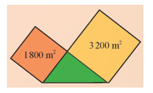 Vận dụng 2 trang 56 Toán 9 Tập 1 Chân trời sáng tạo | Giải Toán 9