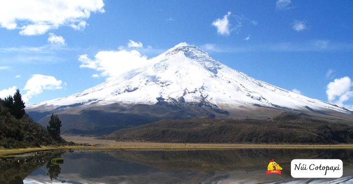 tieng viet lop 5 trang 71 tap 1 ket noi tri thuc h3*638187