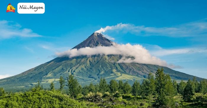 tieng viet lop 5 trang 71 tap 1 ket noi tri thuc h5*638189