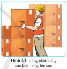 Trong hình 1.4, kiện hàng được người công nhân đưa lên cao 1,2 m so với mặt đất