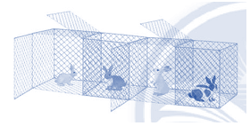 Vở bài tập Toán lớp 4 Chân trời sáng tạo Bài 15: Em làm được những gì?