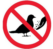 Đề thi giữa kì 1 tiếng Anh 7 Global success - Đề 8