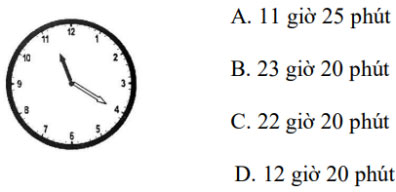 Đề thi Giữa học kì 1 Toán lớp 3 Chân trời sáng tạo