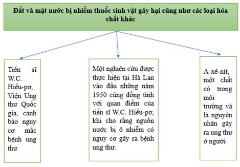 Soạn bài Sự ô nhiễm nguồn nước trên bề mặt trái đất và hậu quả - Chân trời sáng tạo