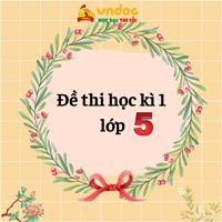 Đề thi học kì 1 môn Tin học lớp 5 Cánh Diều
