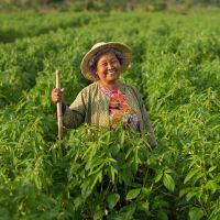 Góc sáng tạo trang 87 lớp 5 Tập 1 Cánh Diều