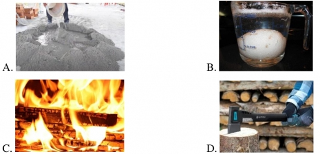 Đề thi Khoa học lớp 5 kì 1 có đáp án