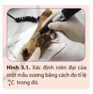 Giải Vật lí 12 trang 101 Cánh diều