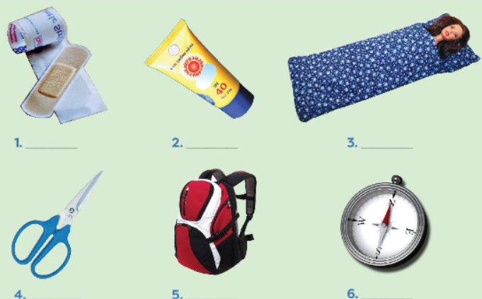 Tiếng Anh 6 unit 5 A closer look 1