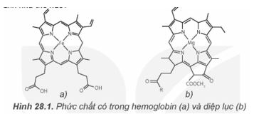 Giải Hóa 12 trang 134 Kết nối