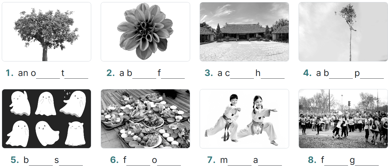 Sách bài tập tiếng Anh lớp 8 unit 5 Our customs and traditions Global success