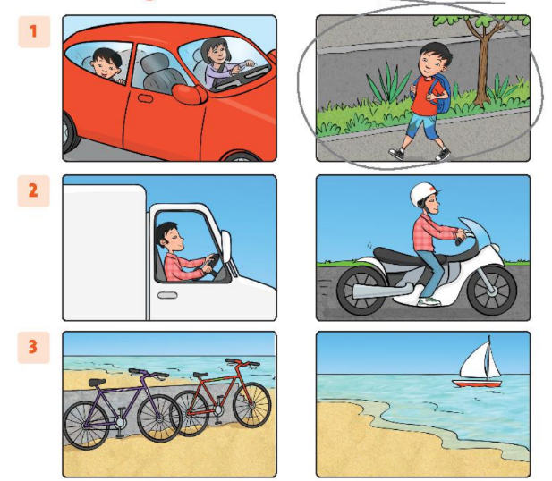 SBT tiếng Anh 2 unit 4 I go to school by bus lesson 2