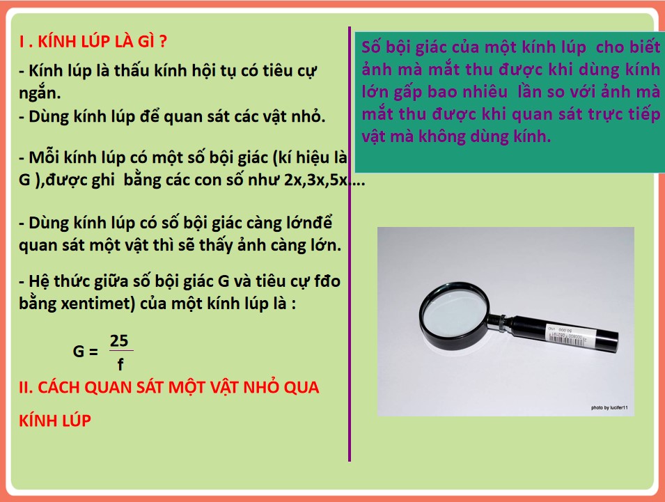 PowerPoint Khoa học tự nhiên 9 KNTT Bài 10