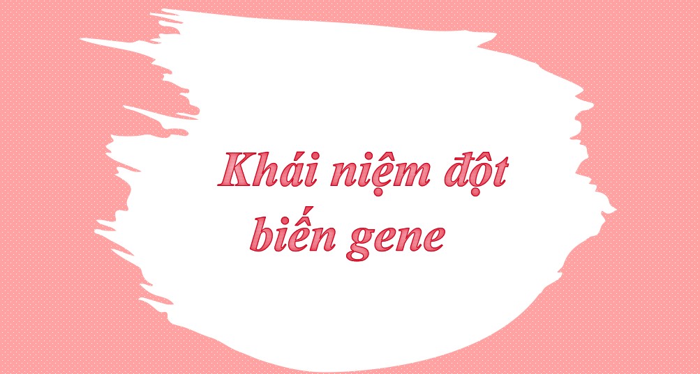 PowerPoint Khoa học tự nhiên 9 KNTT Bài 41