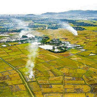 Giáo án Địa lí 9 Bài 12: Vùng Đồng bằng sông Hồng