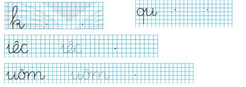 Đề thi học kì 1 lớp 1 môn Tiếng Việt sách Chân trời sáng tạo - Đề 1