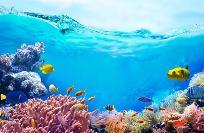 Bài dự thi viết thư UPU lần thứ 54