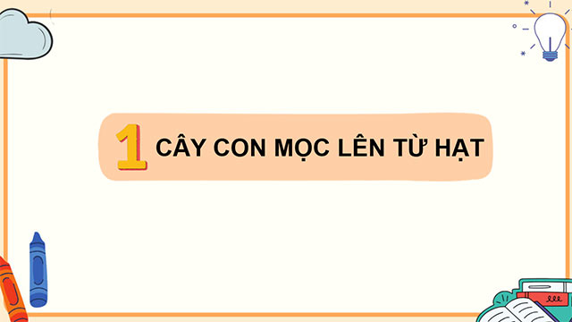 PowerPoint Khoa học 5 Sự lớn lên và phát triển của thực vật có hoa
