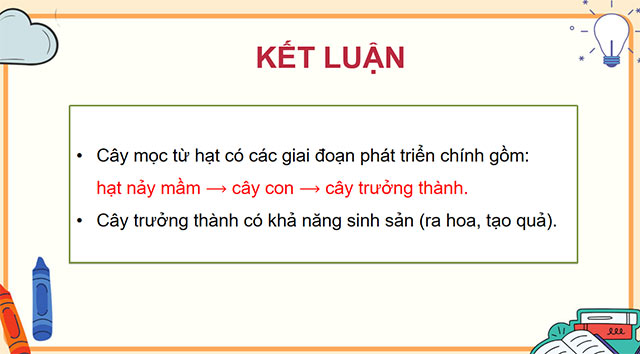 PowerPoint Khoa học 5 Sự lớn lên và phát triển của thực vật có hoa