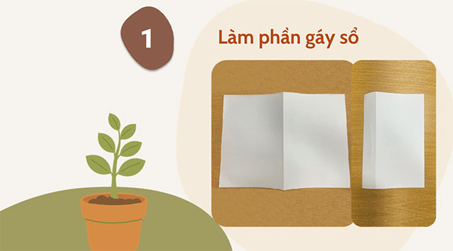 PowerPoint STEM Các bộ phận của thực vật