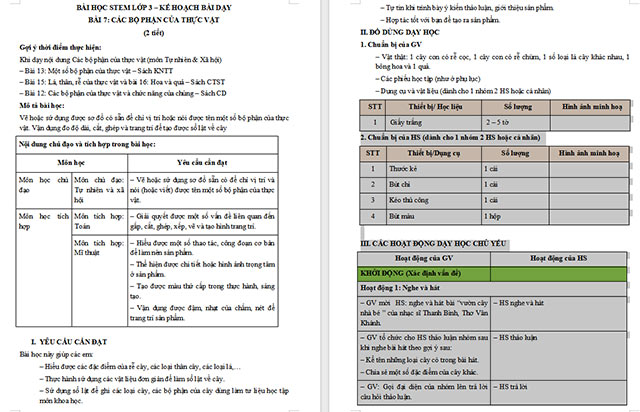 Giáo án STEM Các bộ phận của thực vật