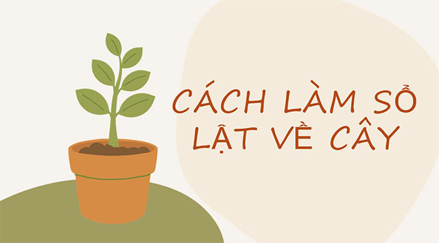 PowerPoint STEM Các bộ phận của thực vật