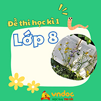 Bộ đề Đọc hiểu Ngữ văn 8 học kì 1 