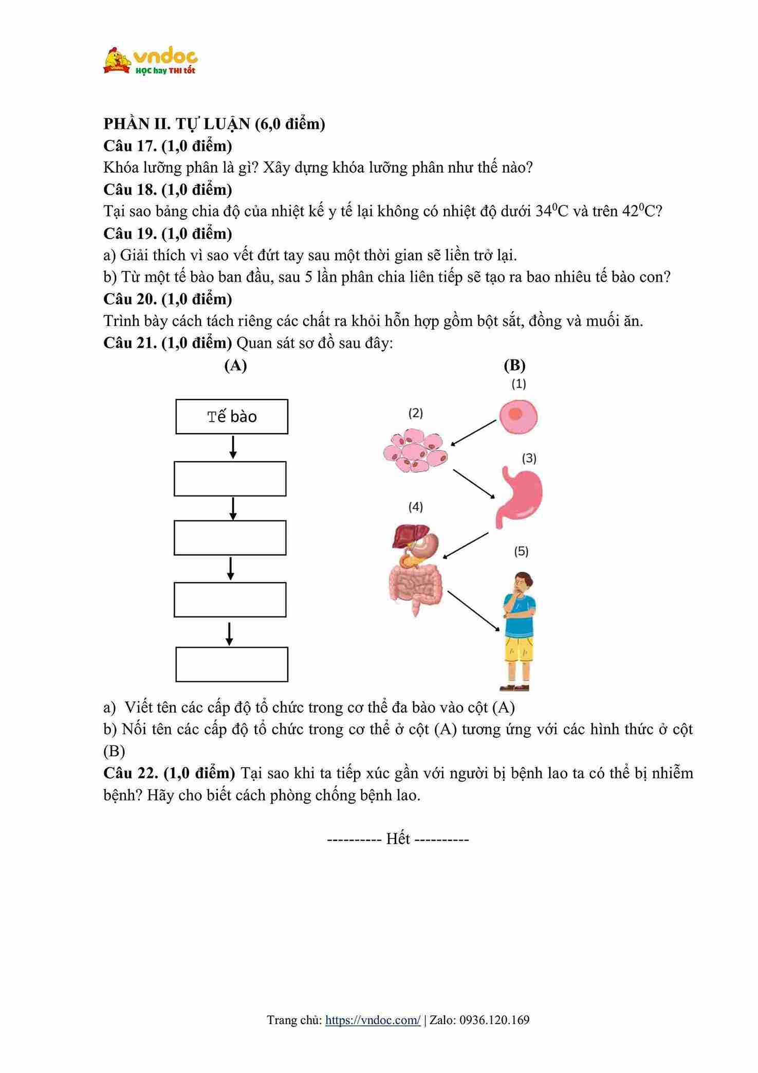 de thi hoc ki 1 khoa hoc tu nhien lop 6 ket noi tri thuc de 1 hinh anh 2 1*651437