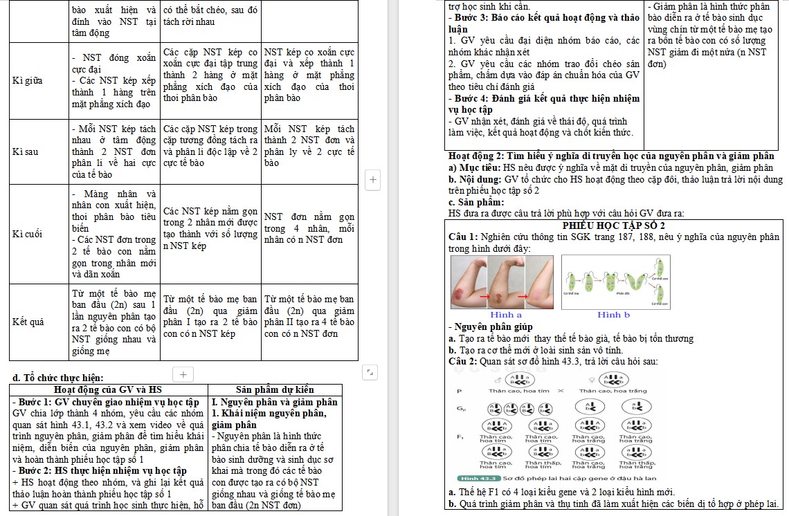 Giáo án KHTN 9 KNTT Bài 43