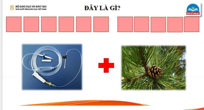 Giáo án PowerPoint HĐTN 9 Chủ đề 6