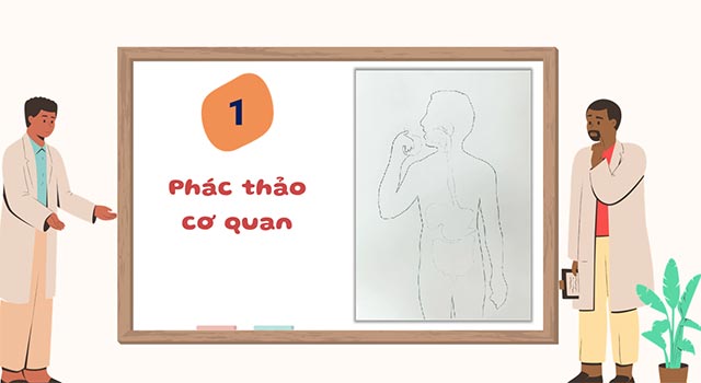 PowerPoint STEM Làm mô hình cơ quan tiêu hóa