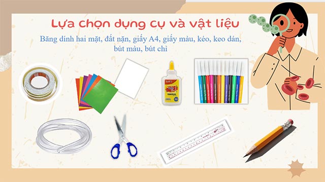 PowerPoint STEM Làm mô hình cơ quan tiêu hóa