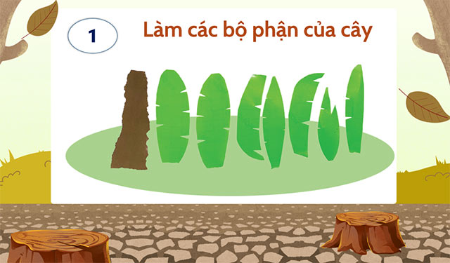 PowerPoint STEM Đèn Làm mô hình cây